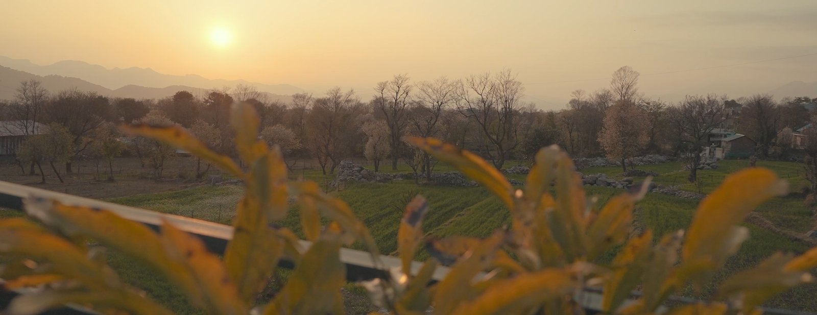 Central Access to Bir